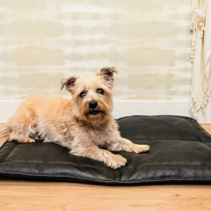 Le Mat | Portable Leather Dog Bed