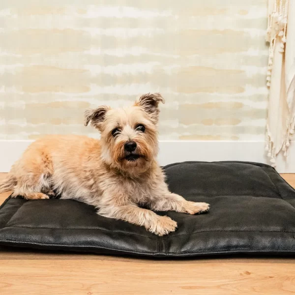 Le Mat | Portable Leather Dog Bed