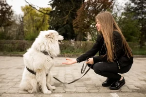 Teaching Your Pup to Come When Called