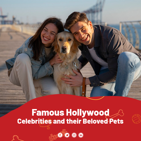 Famous Hollywood Celebrities and their Beloved Dogtales